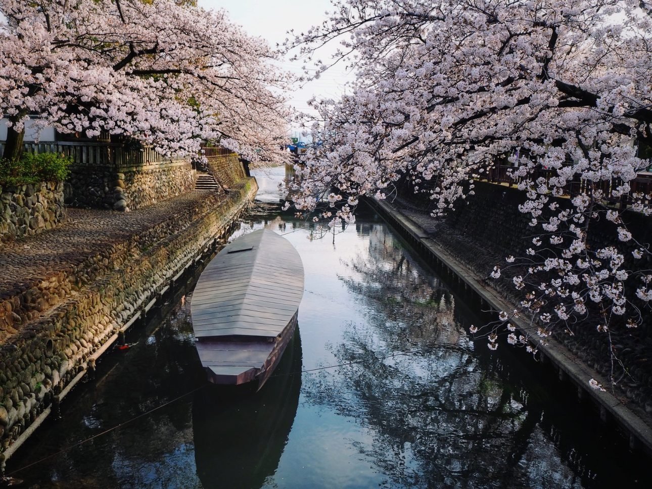 🏯 오가키 성 이미지 10